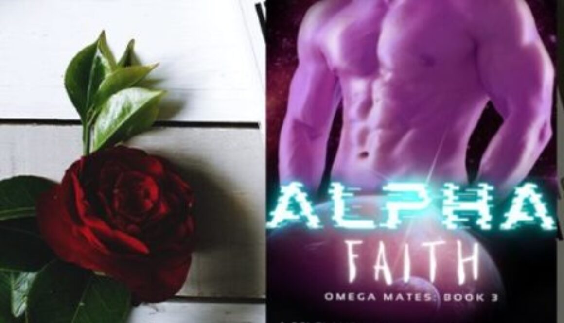 Alpha Faith Website Book Post Image