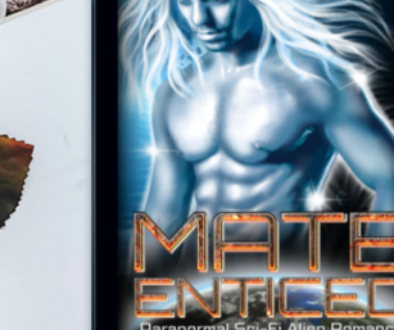 Mate Enticed Website Book Post Image